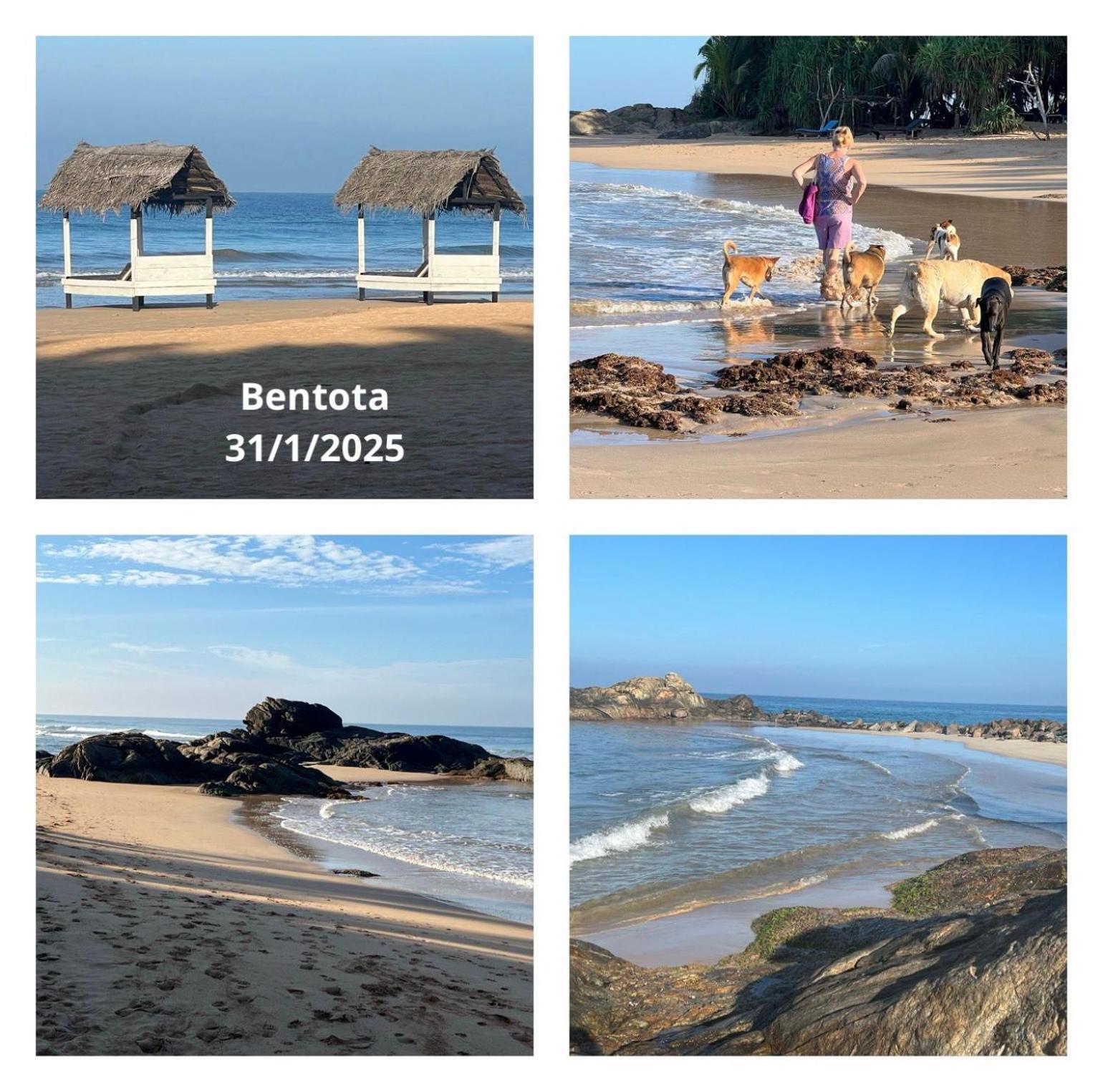 Osanda Guest Bentota Exterior photo
